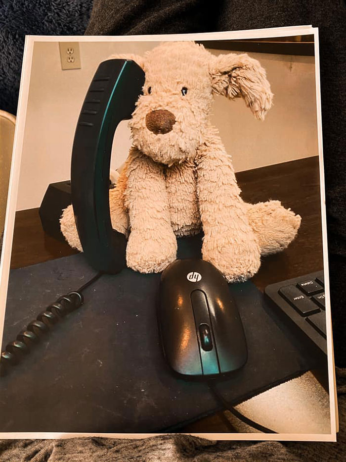 2-Year-Old Girl Loses Her Beloved Stuffed Dog At The Hotel, Staff Documents His Adventures Before Shipping Him Back Home