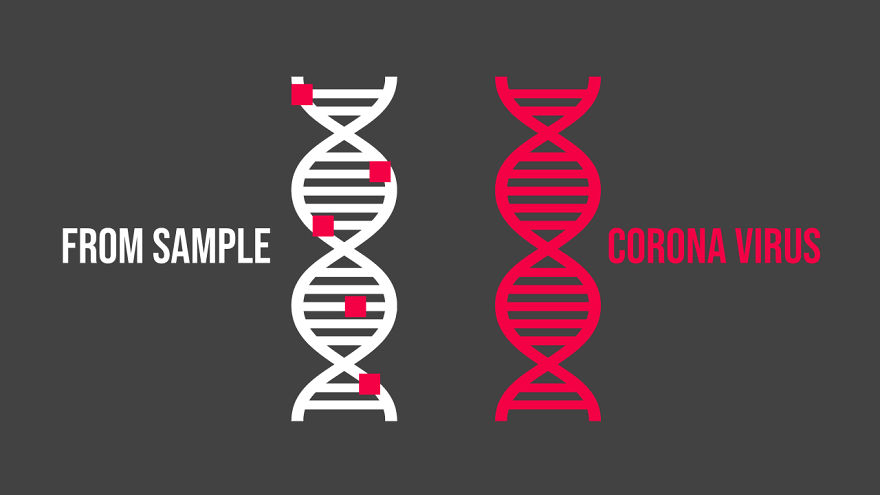 I Made An Animation That Explains How Different Coronavirus Tests Work (For The Non-Techies Out There)