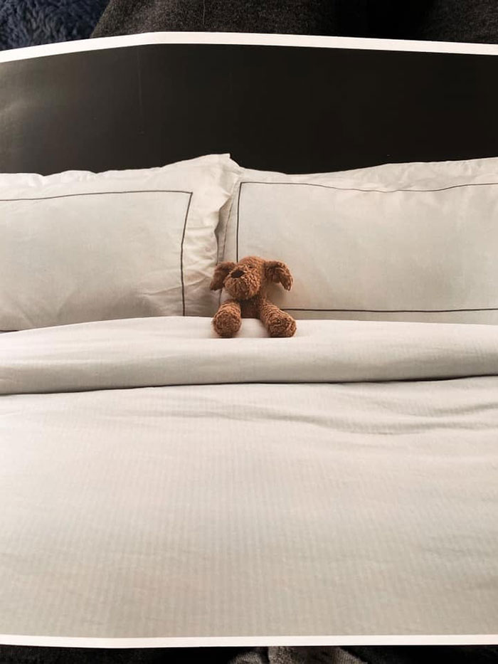 Esta niña de 2 años olvidó su querido peluche en un hotel, y el personal documentó sus aventuras antes de devolvérselo