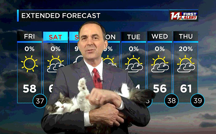 This Weatherman Starts Working From Home, Goes Viral After Cat Joins His Broadcast