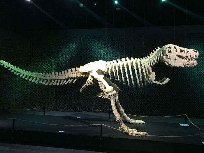 This Dinosaur Skeleton Made Completely Out Of LEGO's From The Houston Museum Of Natural Science