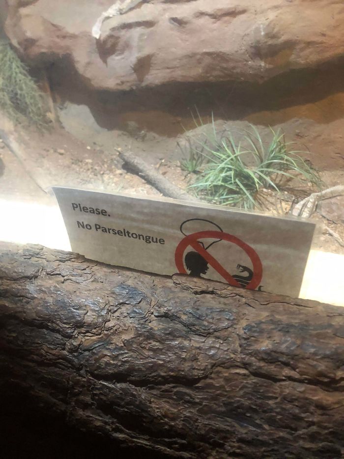 Found At A Snake Exhibit