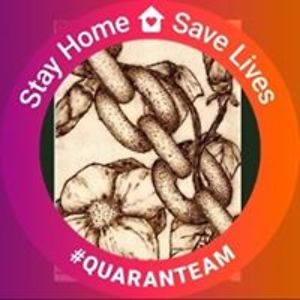 twistedthicket7 avatar