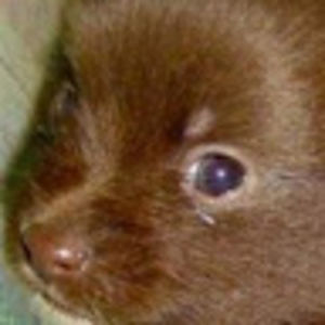 klayacuddington avatar