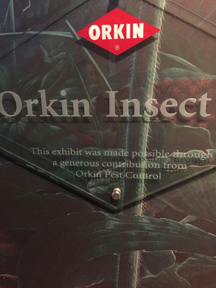 This Smithsonian Insect Exhibit Is Sponsored By A Company That Exterminates Insects Every Day
