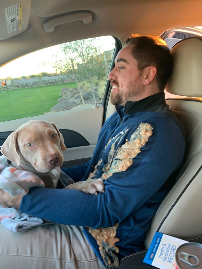 My Brother, On The Ride Home From Picking Up His New Puppy
