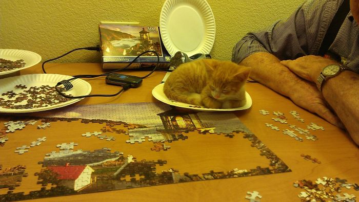 Helping Grandpa With His Puzzle