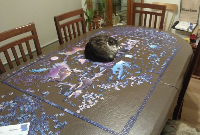 Lately, All My Attention Has Been On This Puzzle And I Came Home To This