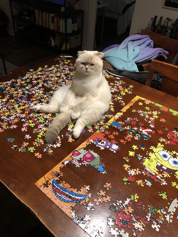 So I Was Going To Work On My Puzzle