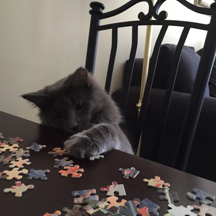 Today We Did A Puzzle