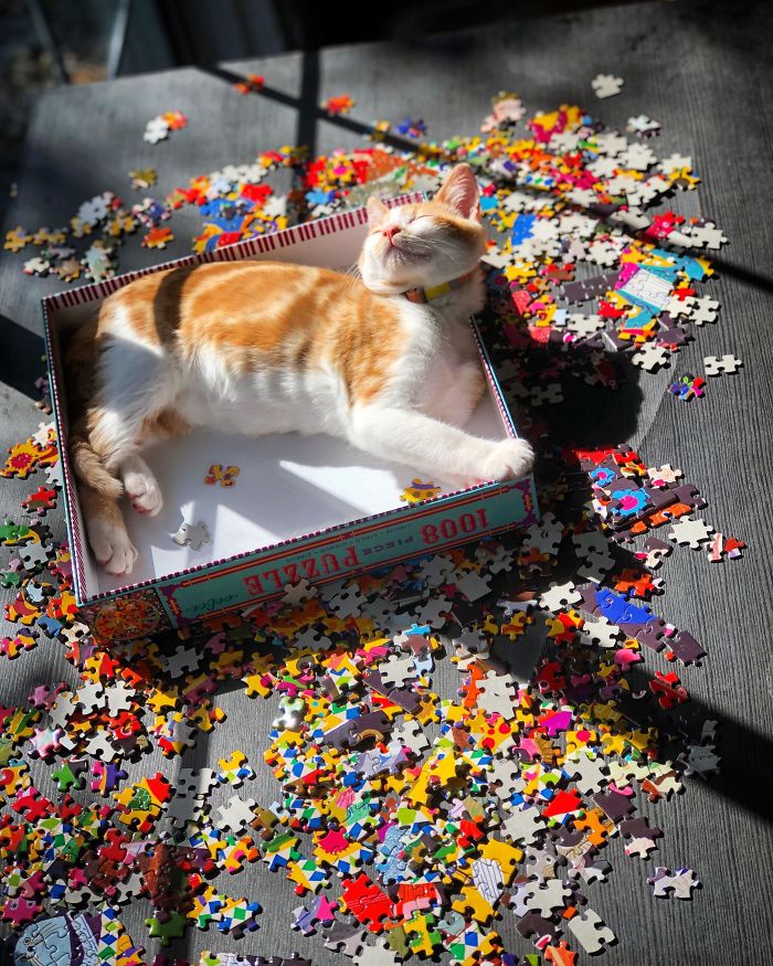 Never Going To Finish The Puzzle