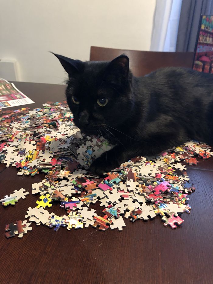 Don’t Touch My Puzzle!