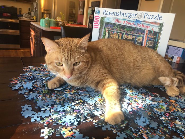 Puzzle Warlord