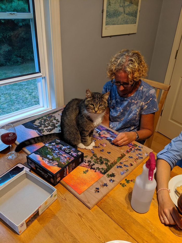 "I'll Help You With This Puzzle Noooo Praablem"