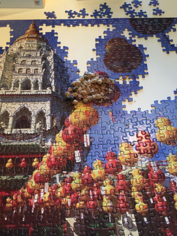 My Cat Threw Up On The Puzzle I've Been Working On