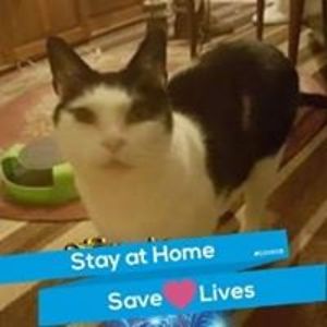 susan_everingham avatar