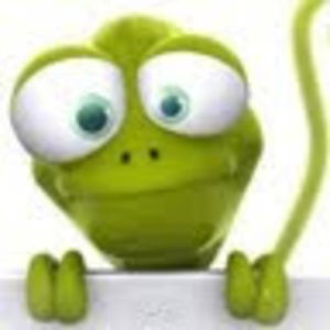 belindawillis avatar