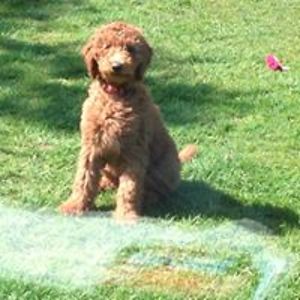 stevensonsue25 avatar