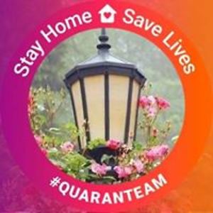 paulinetalley avatar