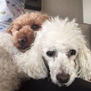 bishops042000 avatar