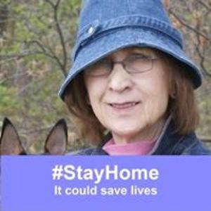 gagnonarts6263 avatar