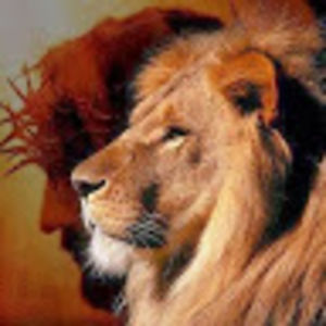 leonardosagcal avatar