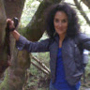 ashourinamirzayof avatar