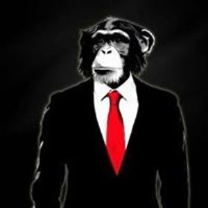 roi_cameselle avatar