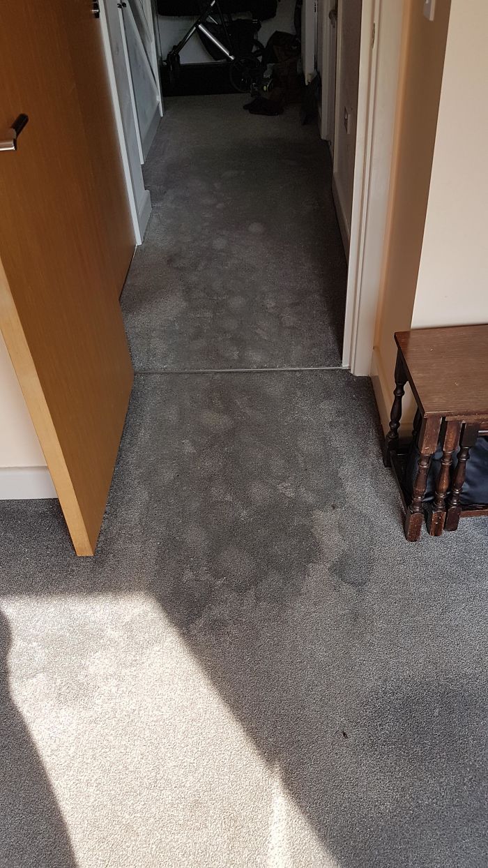 Our 2-Year-Old Decided To Flood The Bathroom During The Night