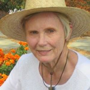 mwilliamstxtravel avatar