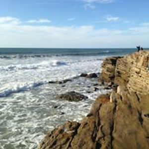 surelyshields avatar