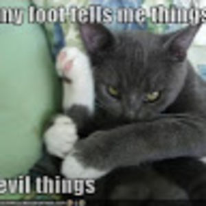 brynnritch_student-wakeforestms avatar