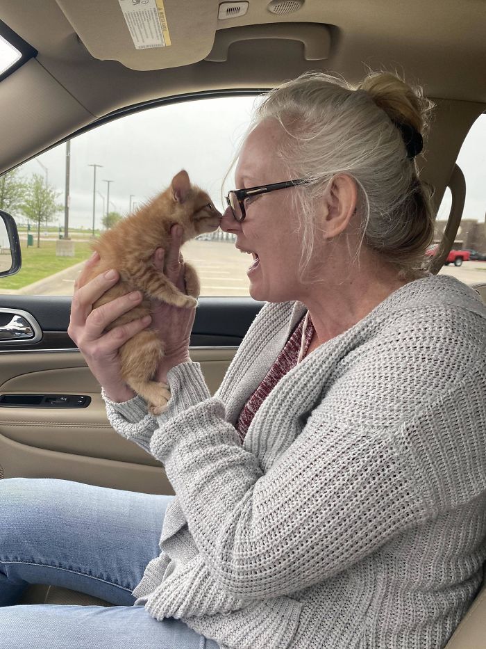 My Mom Meeting Her Dream Kitten For The First Time Today