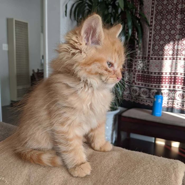 Disco Is 2-Months-Old And Just Woke Up From A Nap