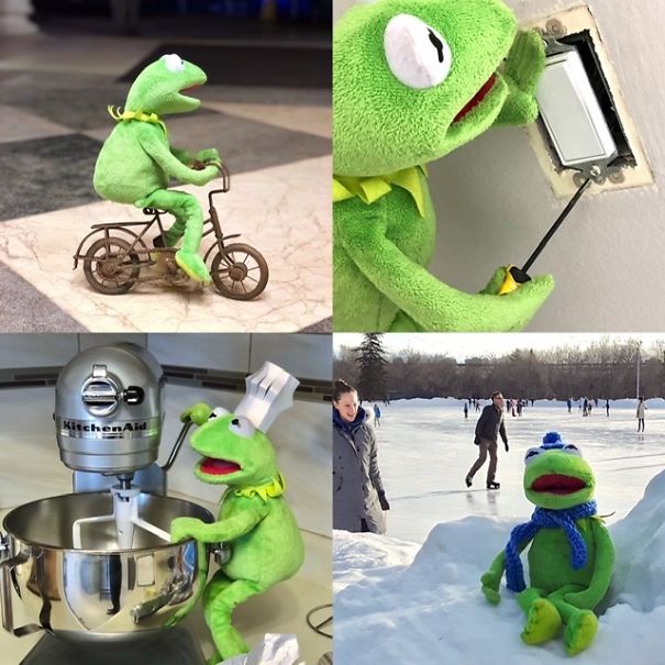 Yegkermit Every Day Life On Ig Yegkermit Every Day Life On Ig