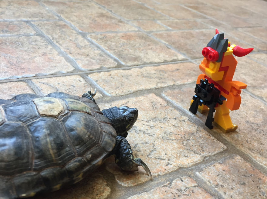 Traco's Day Out ... A Travelogue From A LEGO Transformer Cow (That's Me Traco)