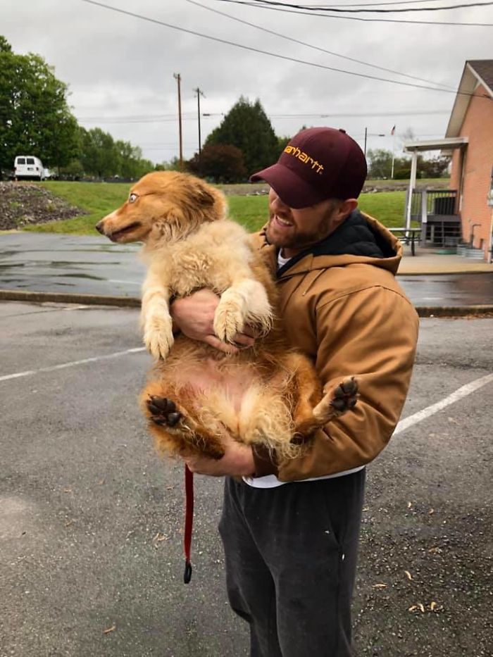 Dog Finally Gets To See Her Owners After Being Missing For Almost 2 Months