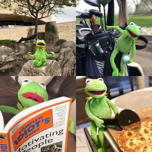 Yegkermit Every Day Life On Ig Yegkermit Every Day Life On Ig