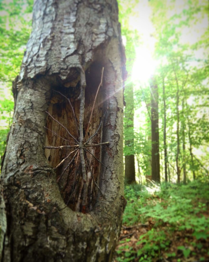 Allison Tyler's Curious Land Art Is So Precarious It Might Never Be Seen Allison Tyler's Curious Land Art Is So Precarious It Might Never Be Seen