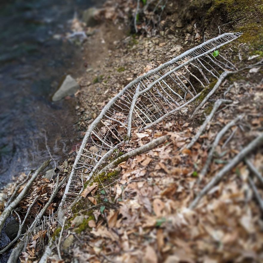 Allison Tyler's Curious Land Art Is So Precarious It Might Never Be Seen Allison Tyler's Curious Land Art Is So Precarious It Might Never Be Seen