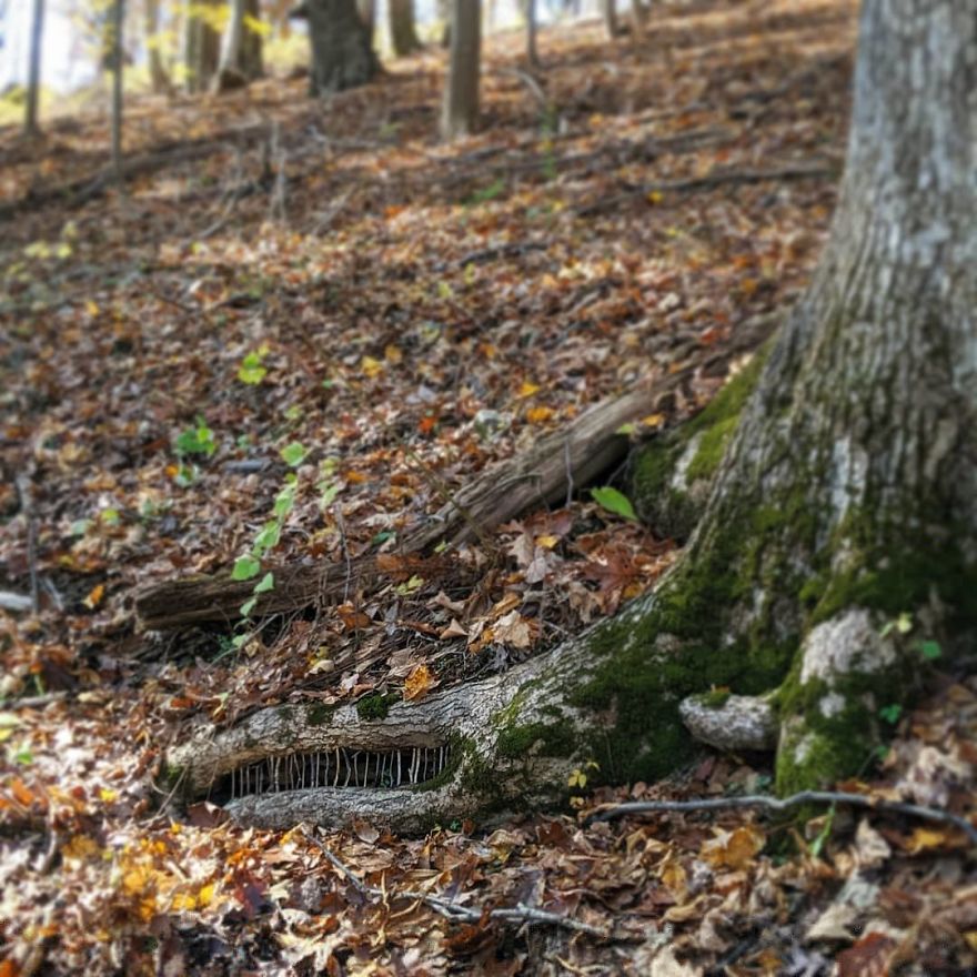 Allison Tyler's Curious Land Art Is So Precarious It Might Never Be Seen Allison Tyler's Curious Land Art Is So Precarious It Might Never Be Seen