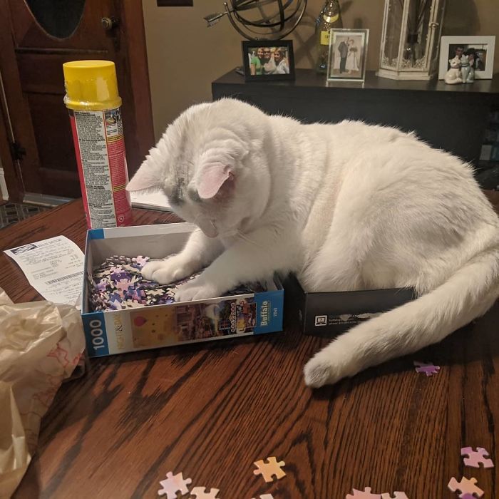 I Help With Puzzle