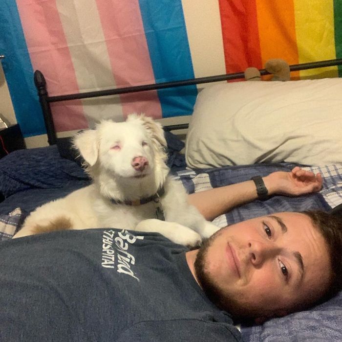 Guy Shows How He Wakes Up His Blind And Deaf Dog Without Scaring Her, Receives Almost 13 Million Likes