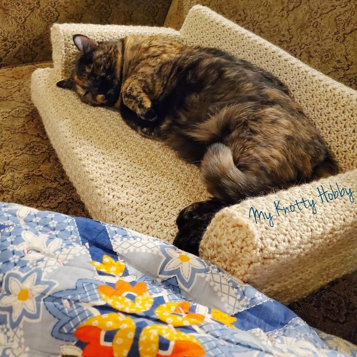 People are Using Their Free Time To Crochet Tiny Couches For Their Cats