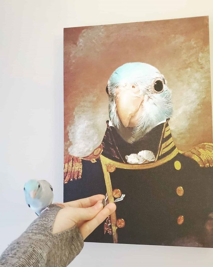 This Company Makes Pictures Of Pets Dressed Like Royalty