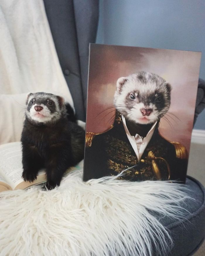 This Company Makes Pictures Of Pets Dressed Like Royalty