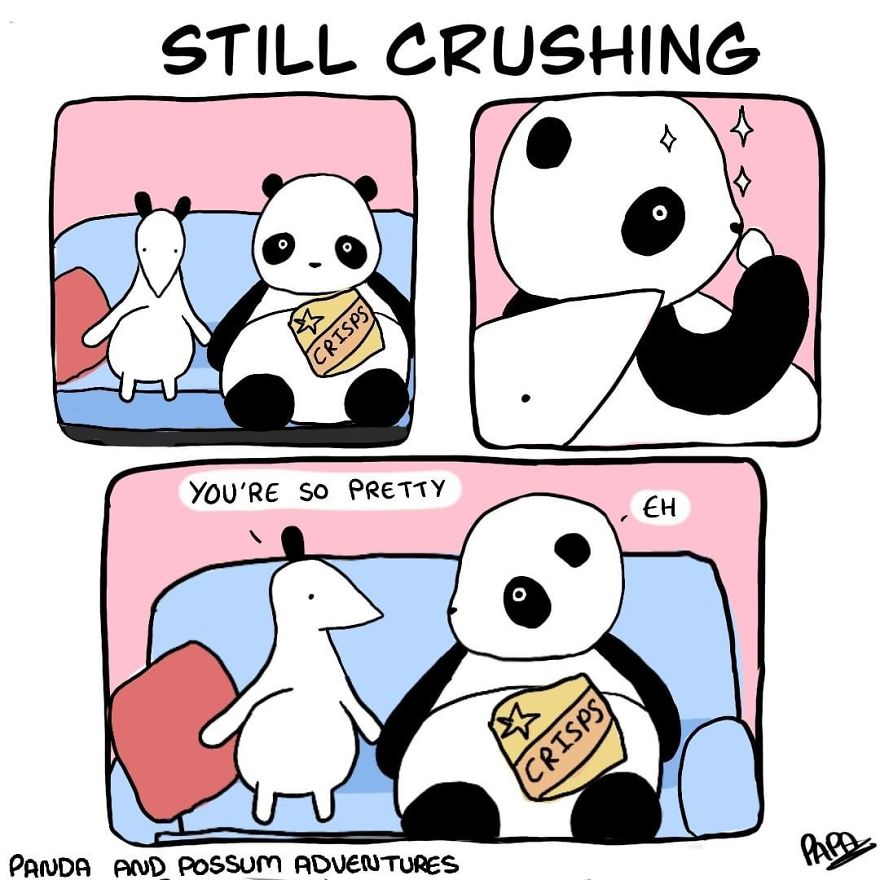 Panda And Possum Adventures- Webcomic