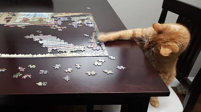 Tenemos muchos puzzles en casa y Toby ha descubierto que le gustan
