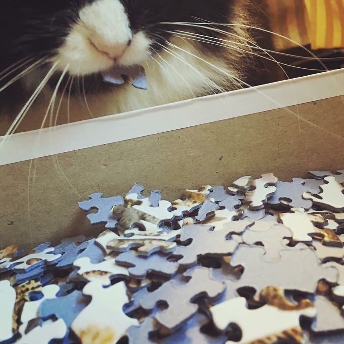 Beans Is Zero Help With Puzzles
