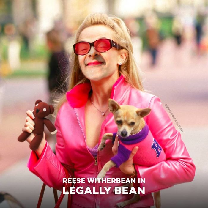 Reese Witherspoon en "Una rubia muy legal" como Mr. Bean